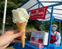 ６月中南編　弘前市「カランカランアイス」を調査してきました！
